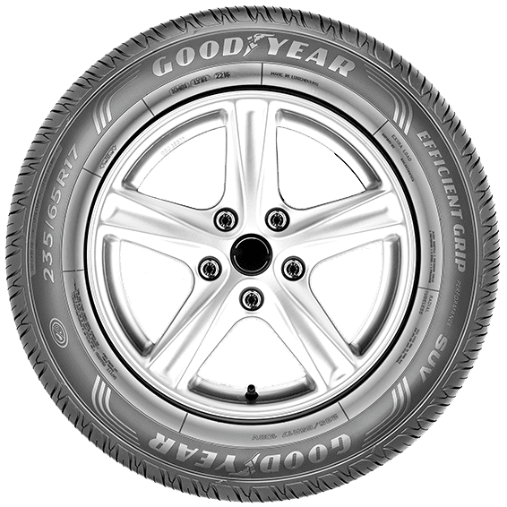 GOODYEAR EFFICIENTGRIP PERFORMANCE SUV